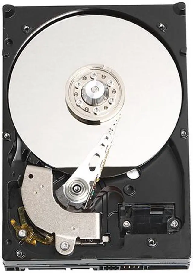 Main image of Western Digital WD800JD Hard Drive