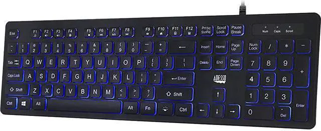Main image of ADESSO AKB-139EB Black 104-key US Layout Normal Keys USB Wired Standard Large Print Illuminated Desktop Keyboard