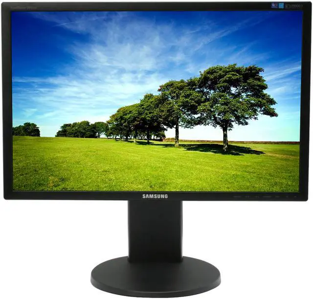 Alt view image 2 of 15 - SAMSUNG 24" WUXGA LCD Monitor 5 ms D-Sub, DVI 2443BW