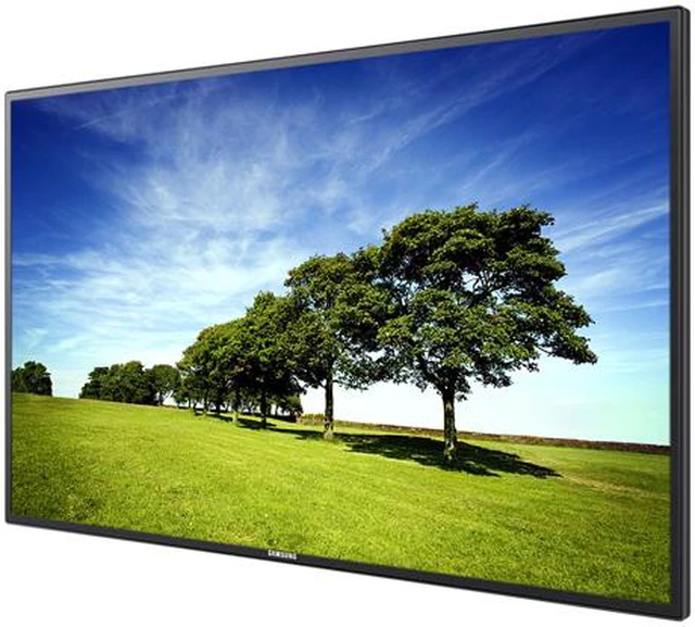 Large Format Monitor - Newegg.com