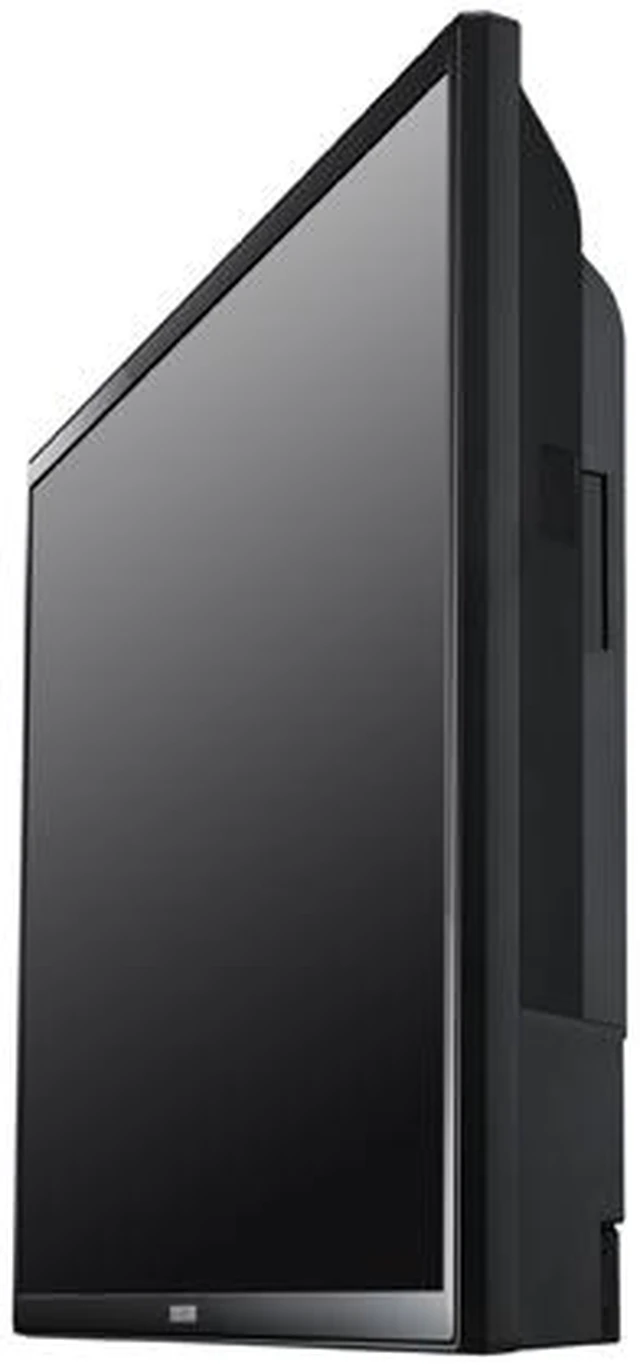 Large Format Monitor - Newegg.ca