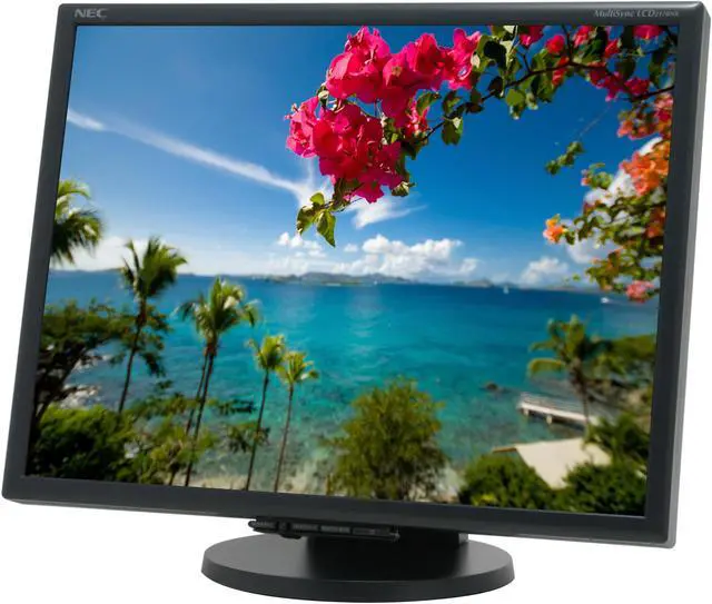 Main image of NEC Display Solutions 21" Active Matrix, TFT LCD UXGA LCD Monitor 8ms(GTG) D-Sub, DVI-D LCD2170NX-BK