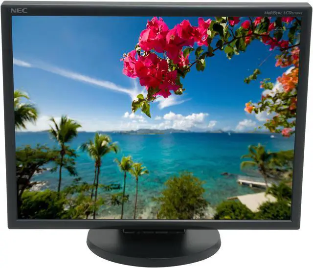 Alt view image 3 of 13 - NEC Display Solutions 21" Active Matrix, TFT LCD UXGA LCD Monitor 8ms(GTG) D-Sub, DVI-D LCD2170NX-BK