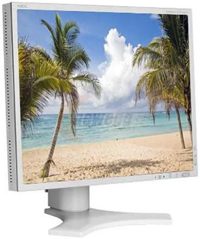 NEC Display Solutions 19