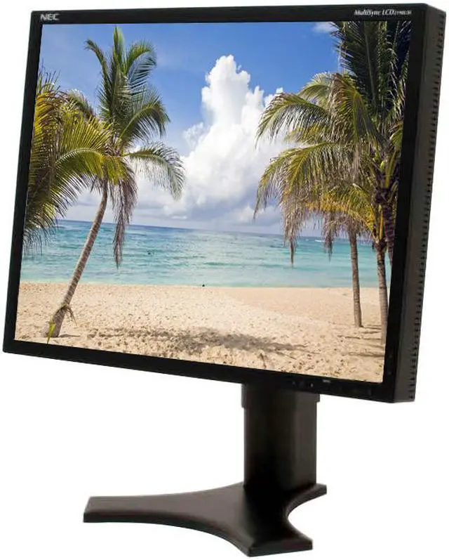 NEC Display Solutions 21.3 NEC Display Solutions 21.3