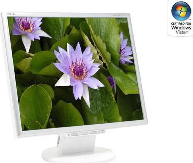 NEC Display Solutions 19