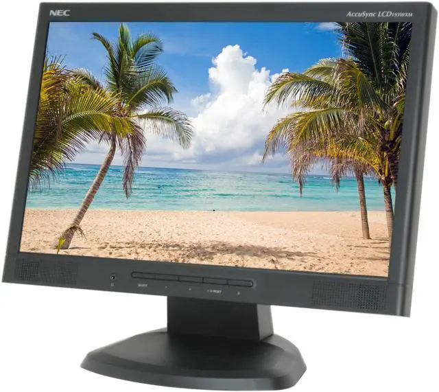 Main image of NEC Display Solutions 19" WXGA+ LCD Monitor 5 ms D-Sub, DVI-D ASLCD193WXM-BK