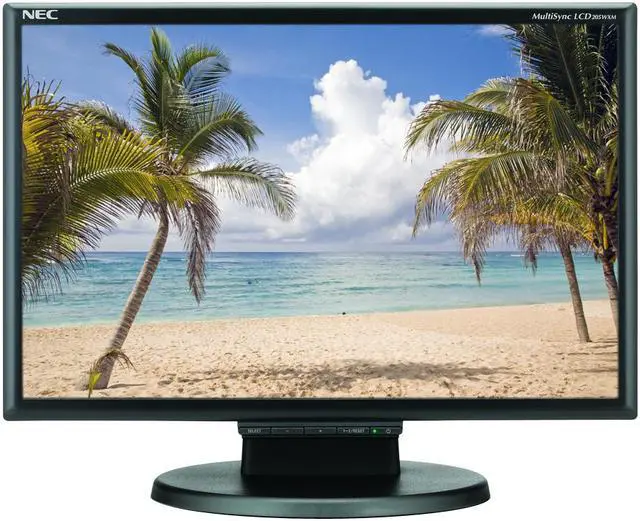 Main image of NEC Display Solutions 20" WSXGA+ LCD Monitor 5 ms D-Sub, DVI-D LCD205WXM-BK