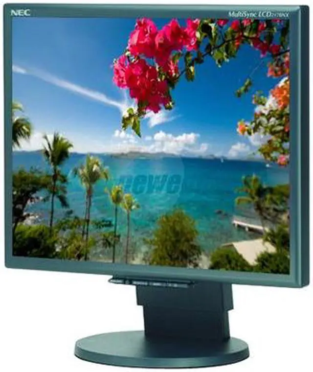 Main image of NEC Display Solutions 21.3" UXGA LCD Monitor 8ms(GTG) D-Sub, DVI-D LCD2170NX-BK-2