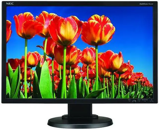 Main image of NEC Display Solutions 22" WSXGA+ LCD Monitor 5 ms D-Sub, DVI-D E222W-BK