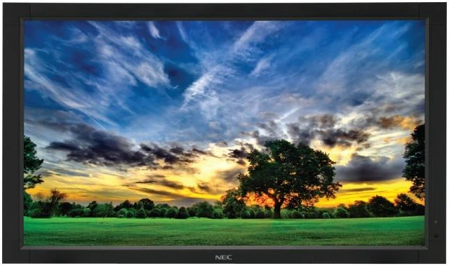 Large Format Monitor - Newegg.com