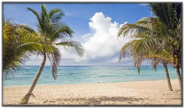 Alt view image 2 of 4 - NEC Display Solutions P402 Black 40" 8ms 1920 x 1080 Professional-Grade Large-Screen Display 3000:1