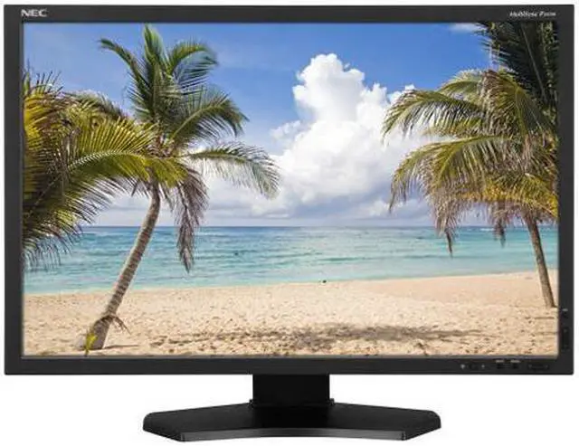 Main image of NEC Display Solutions 24.1" e-IPS LCD Monitor 8 ms DisplayPort, D-Sub, DVI-D P-Series P241W-BK