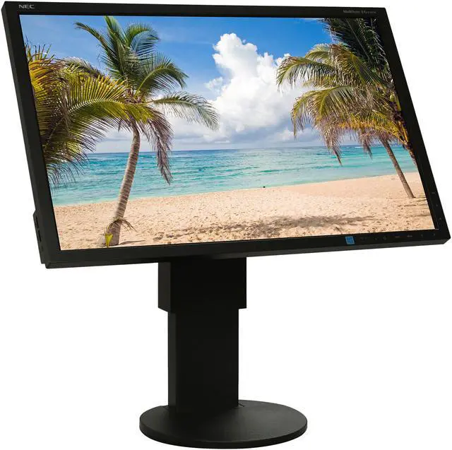 NEC MultiSync EA243WM-BK Black 24