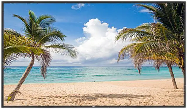 Main image of NEC V463 46" High-Performance LED-Backlit Commercial-Grade Display w/ Integrated Speakers