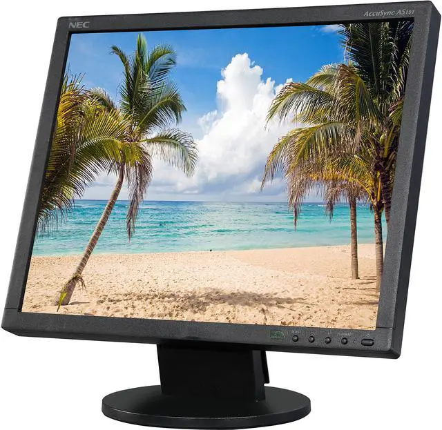 Main image of NEC Display Solutions 19" SXGA LCD Monitor 5 ms D-Sub, DVI-D AccuSync AS191-BK