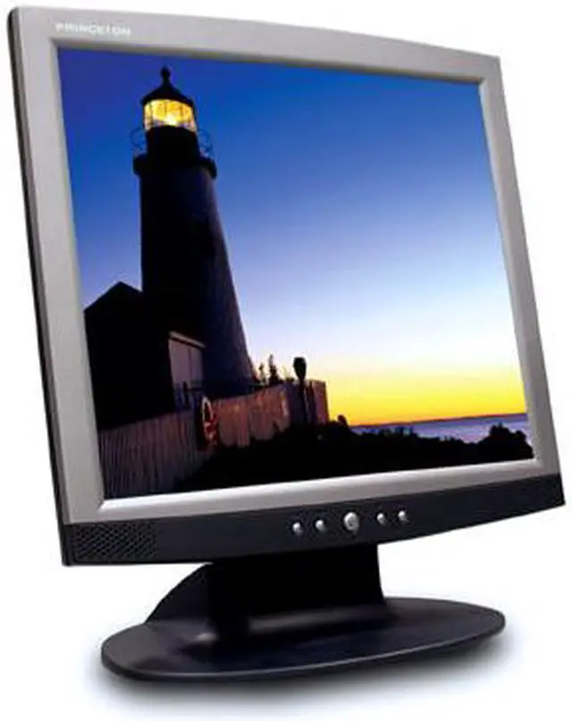 Main image of PRINCETON 19" Active Matrix, TFT LCD SXGA LCD Monitor 25 ms D-Sub, DVI LCD19D