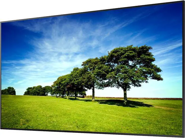 Main image of Samsung QH-R Series LH55QHREBGCXZA 55" 8ms 3840 x 2160 (4K) Premium Display 4000:1