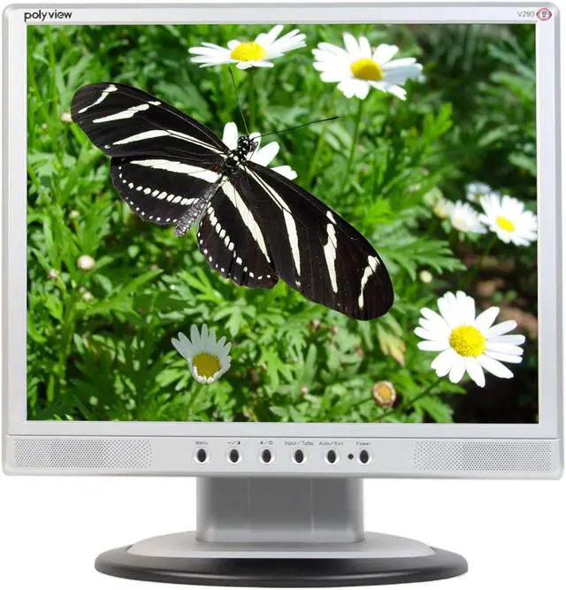 Main image of Polyview 19" Active Matrix, TFT LCD SXGA LCD Monitor 21 ms D-Sub, DVI V293