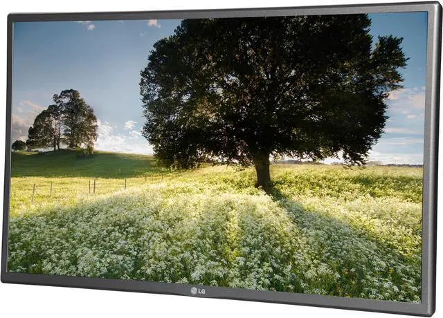 Main image of Large Format Monitor