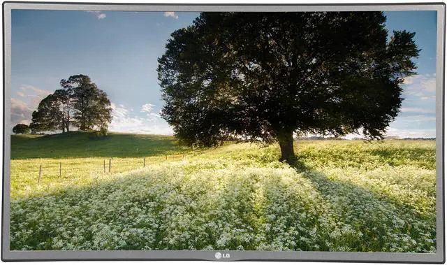 Alt view image 2 of 7 - Large Format Monitor
