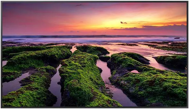 Main image of Samsung QB65B-N 65" 3840 x 2160 (4K) Display (No WiFi) 4000:1 Built-in Speaker