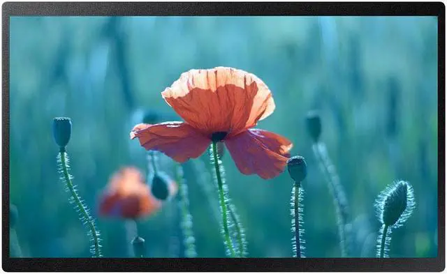 Main image of Samsung QB24R-B 24 inch Commercial 4K FHD LED LCD Display 250