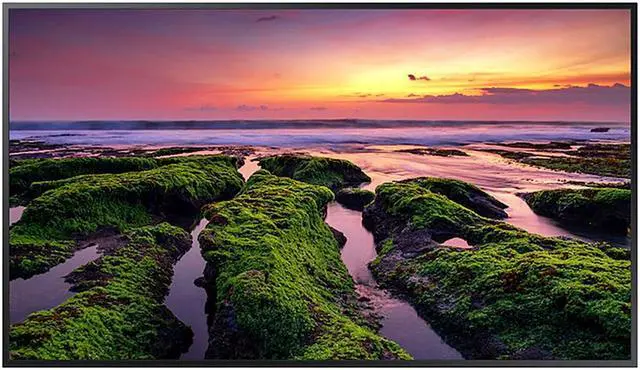 Main image of Samsung 55" 4K UHD Commercial Display - 350 Nit - Black  QB55C