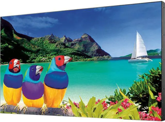 Main image of Viewsonic CDX5550-L 55" Full HD Ultra Narrow Bezel Display with Intel OPS compatibility