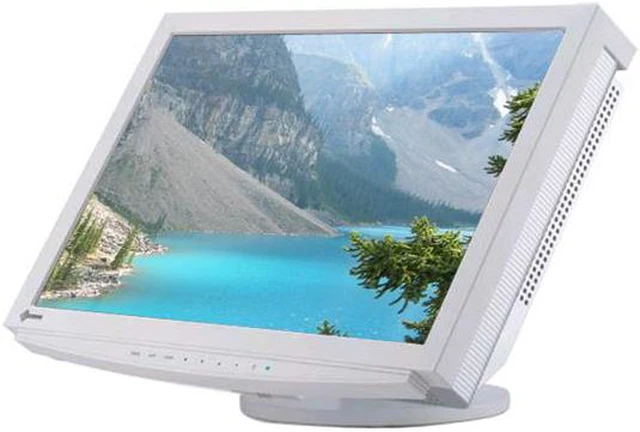 EIZO 21.1