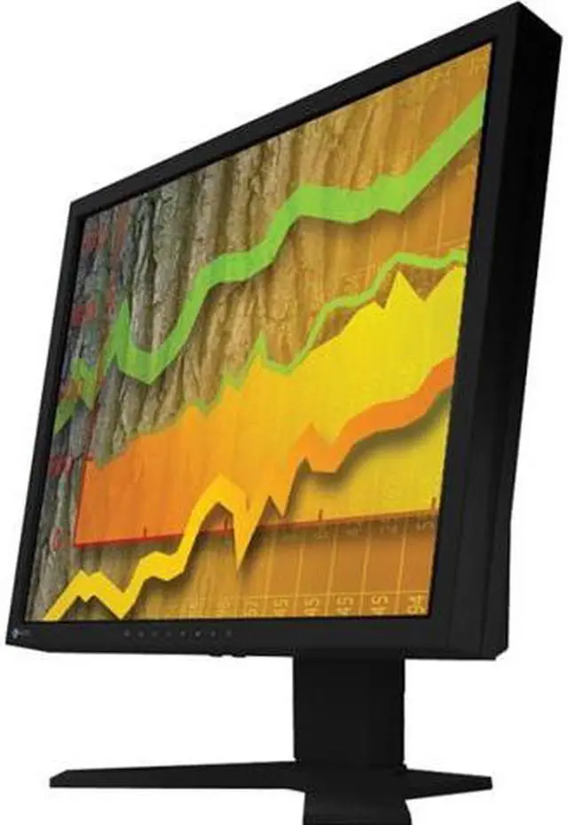 Main image of EIZO 19" LCD Monitor 5 ms D-Sub, DVI S1902ST-BK