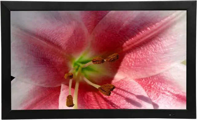 Alt view image 3 of 8 - ViewEra 22" (Actual size 21.5") Active Matrix, TFT LCD FHD Metal Case LCD/LED Security Monitor, HDMI, BNC In/Out, USB, D-Sub, PIP, Remote 5 ms 2 x HDMI In, 1 x VGA In, 1 x USB In, 1 x BNC In
1 x BNC Out Flat Panel V215HBM