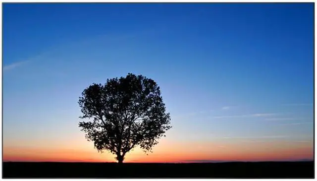 Alt view image 2 of 2 - Panasonic TH-55LFV50U Ultra-Narrow Bezel LED Large Digital Signage Display