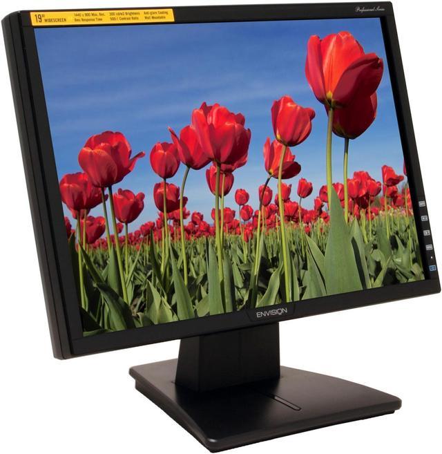 Envision offers monitor 19 inch 1440 x 900