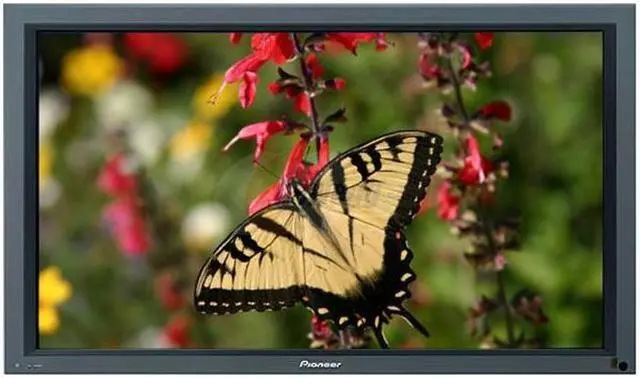 Pioneer 43
