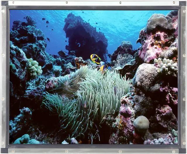 Alt view image 2 of 7 - Elo Touch Solutions E215546 1939L 19-Inch IntelliTouch Open-Frame Touch Monitor