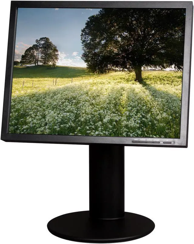Main image of Famous Brand 20" 60 Hz TFT LCD LCD Monitor 8 ms D-Sub, DVI-D L200ME-BF