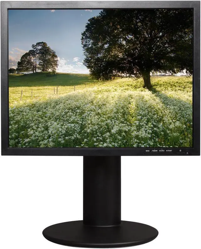 Alt view image 2 of 10 - Famous Brand 20" 60 Hz TFT LCD LCD Monitor 8 ms D-Sub, DVI-D L200ME-BF