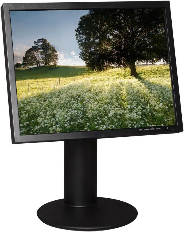 Alt view image 3 of 10 - Famous Brand 20" 60 Hz TFT LCD LCD Monitor 8 ms D-Sub, DVI-D L200ME-BF