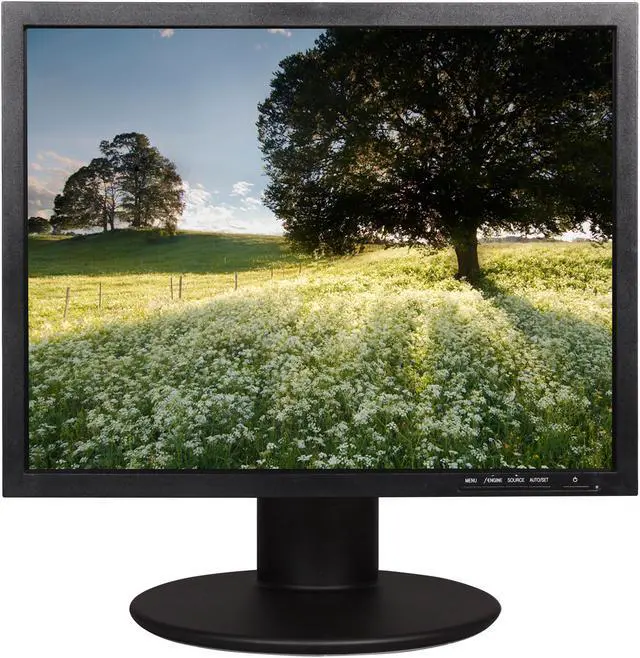 Alt view image 7 of 10 - Famous Brand 20" 60 Hz TFT LCD LCD Monitor 8 ms D-Sub, DVI-D L200ME-BF