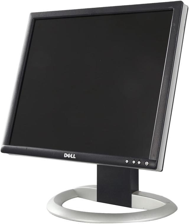 Dell 19