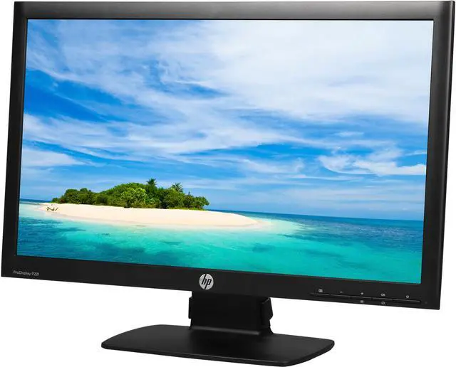 HP ProDisplay Smartbuy P221 Black 21.5