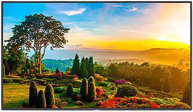 Main image of NEC Display Solutions MultiSync M551 55" UHD Display, High Haze, 24/7, 500nits, HDMI x2, DP x1, Accepts SDM-S or L, Full External Control, Rpi Compatible Built-in Speaker