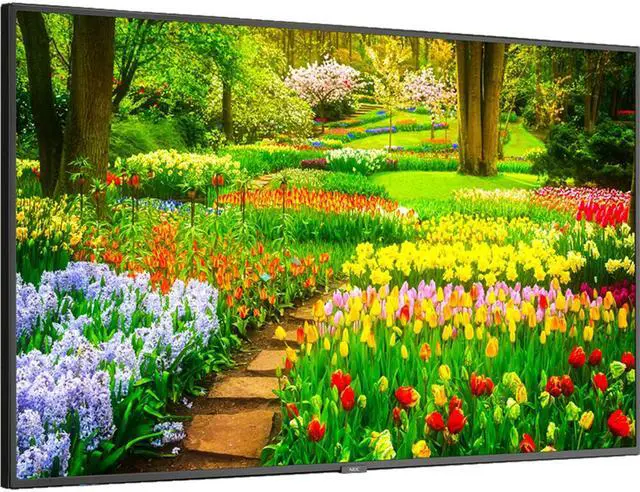 Alt view image 2 of 4 - NEC Display Solutions M491-AVT3 Black 49" 8ms 3840 x 2160 (4K) 1.07 Billion Colors LED LCD, UHD, High Haze, 24/7, 500nits, HDMI x2, DP x1, Accepts SDM-S or L, Full External Control, Rpi Compatible