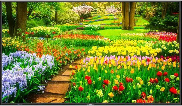 Main image of NEC Display Solutions M491-AVT3 Black 49" 8ms 3840 x 2160 (4K) 1.07 Billion Colors LED LCD, UHD, High Haze, 24/7, 500nits, HDMI x2, DP x1, Accepts SDM-S or L, Full External Control, Rpi Compatible