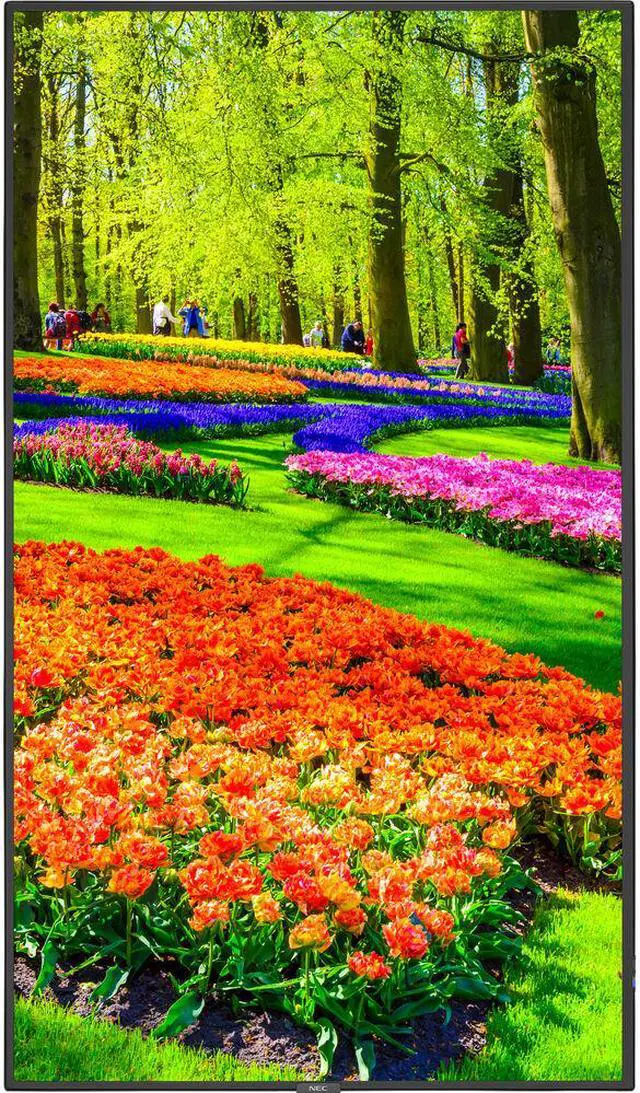 Alt view image 4 of 6 - MultiSync M551 with Installed Infrared Touchscreen