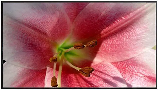 Main image of Elite Screens Aeon AR100WH2 Fixed Frame Projection Screen - 100" - 16:9 - Wall Mount