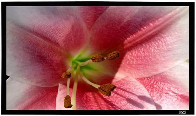 Main image of Elite Screens SableFrame ER135WH2 Fixed Frame Projection Screen - 135" - 16:9 - Wall Mount