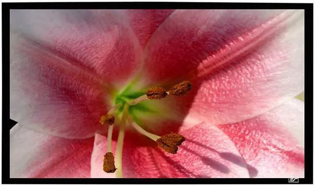 Main image of Elite Screens SableFrame ER114WX2 Fixed Frame Projection Screen - 114" - 16:10 - Wall Mount