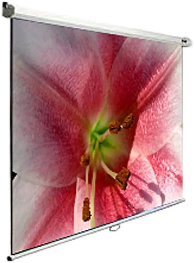 Main image of Elite Screens Manual M120V Manual Projection Screen - 120" - 4:3 - Wall/Ceiling Mount